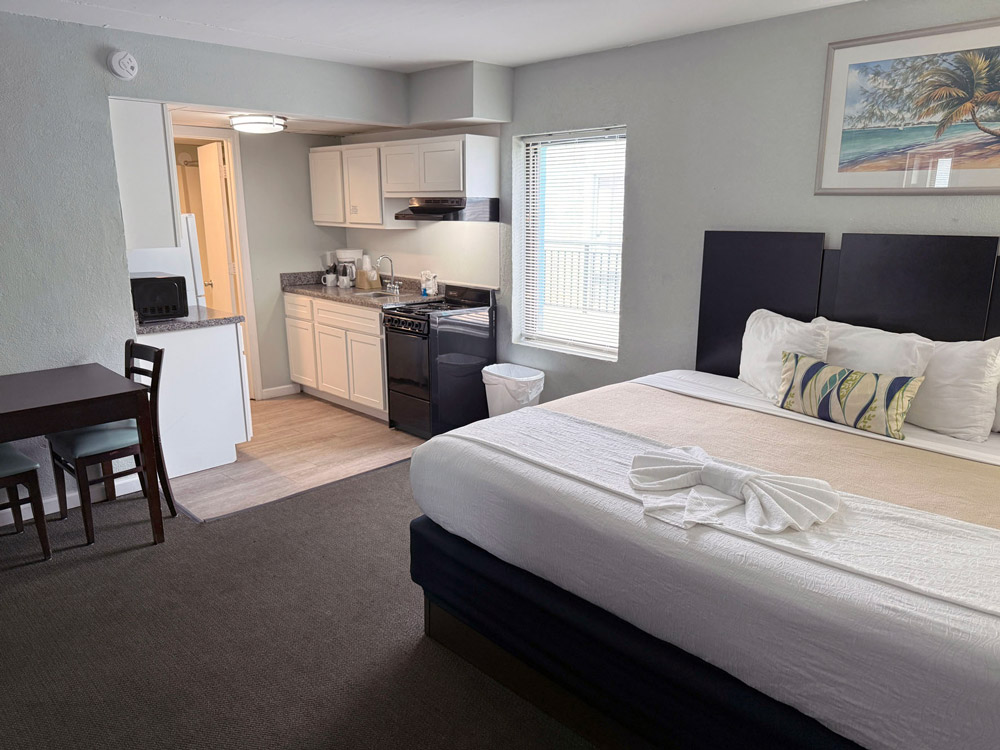 accommodation No View Efficiency with 1 King Bed