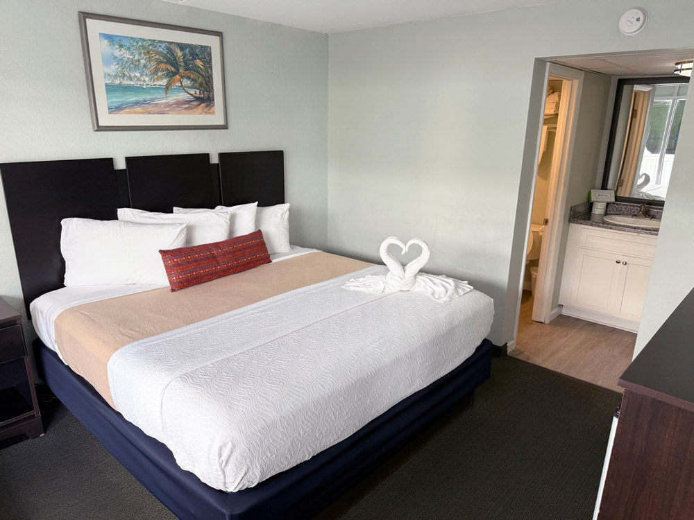 accommodation No View with 1 King Bed